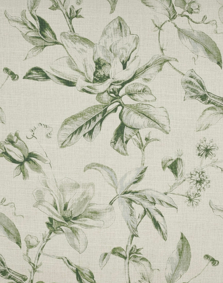 Magnolia Verde